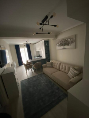 Apartament Ozana